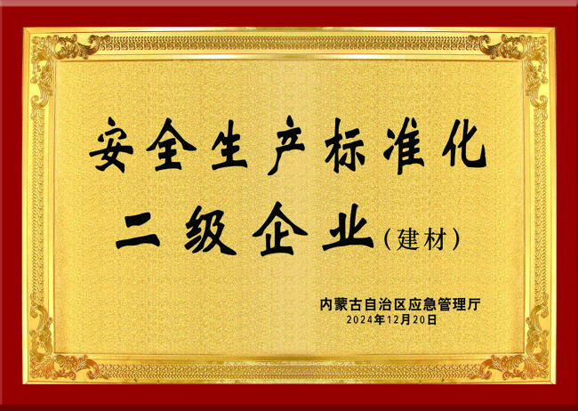 自治區(qū)安全生產(chǎn)標(biāo)準(zhǔn)化二級(jí)企業(yè)